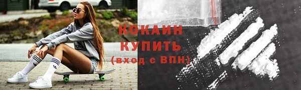 стаф Арсеньев