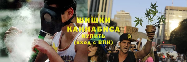 стаф Арсеньев