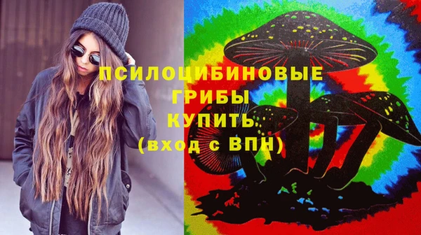 стаф Арсеньев
