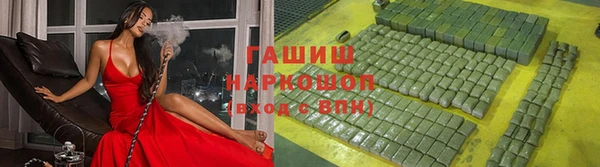 стаф Арсеньев