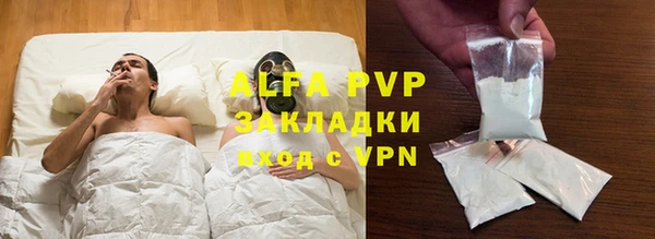 хмурый Аркадак