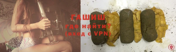хмурый Аркадак