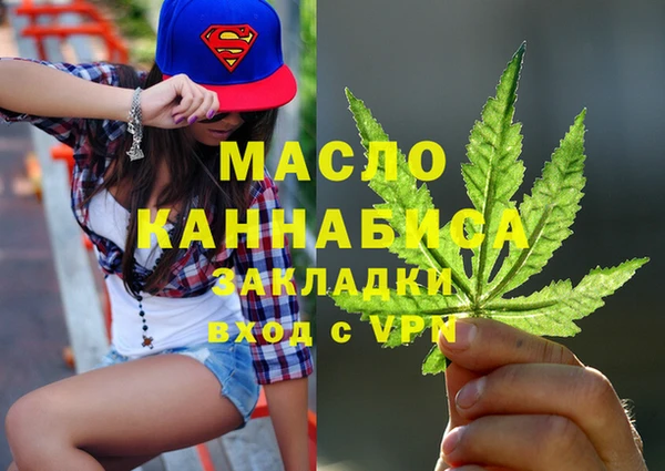 хмурый Аркадак