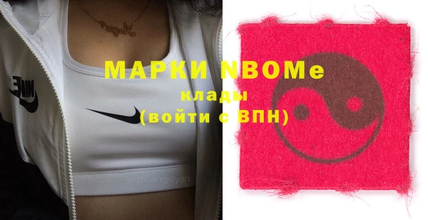 стаф Арсеньев