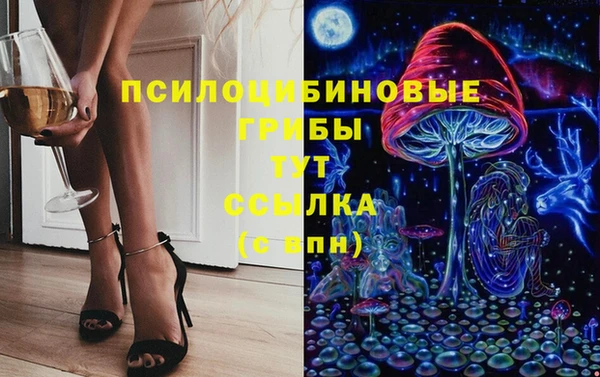 стаф Арсеньев