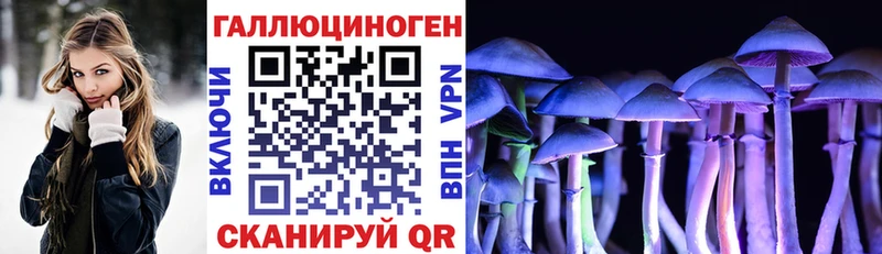 как найти наркотики  дарк нет состав  Галлюциногенные грибы Magic Shrooms  Александров 